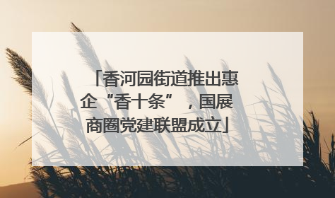 香河园街道推出惠企“香十条”，国展商圈党建联盟成立