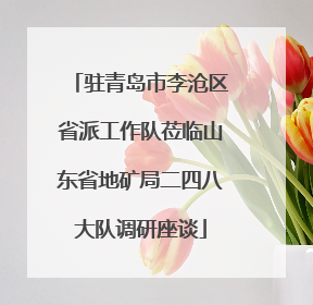 驻青岛市李沧区省派工作队莅临山东省地矿局二四八大队调研座谈