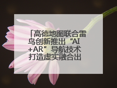 高德地图联合雷鸟创新推出“AI+AR”导航技术 打造虚实融合出行新体验