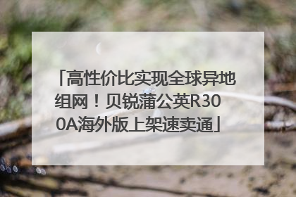 高性价比实现全球异地组网！贝锐蒲公英R300A海外版上架速卖通