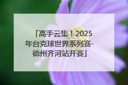 高手云集！2025年台克球世界系列赛-德州齐河站开赛