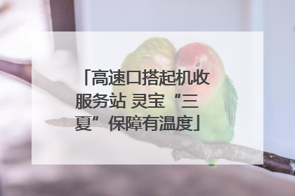高速口搭起机收服务站 灵宝“三夏”保障有温度