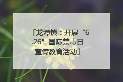 龙潭镇：开展“6.26”国际禁毒日宣传教育活动