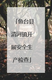 鱼台县清河镇开展安全生产检查
