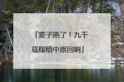 麦子熟了！九千载稼穑中原回响