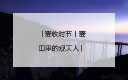 麦收时节丨麦田里的观天人