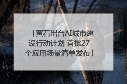 黄石出台AI城市建设行动计划 首批27个应用场景清单发布