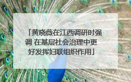 黄晓薇在江西调研时强调 在基层社会治理中更好发挥妇联组织作用