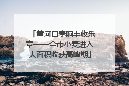 黄河口奏响丰收乐章——全市小麦进入大面积收获高峰期
