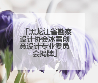 黑龙江省勘察设计协会冰雪创意设计专业委员会揭牌