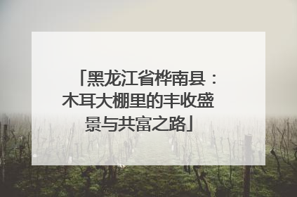 黑龙江省桦南县：木耳大棚里的丰收盛景与共富之路