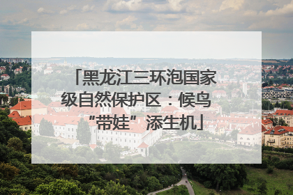 黑龙江三环泡国家级自然保护区：候鸟“带娃”添生机