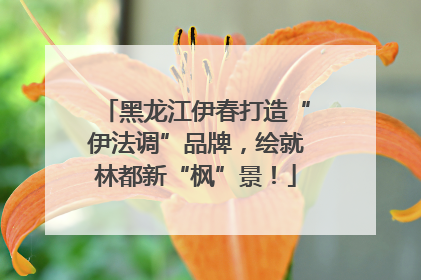 黑龙江伊春打造“伊法调”品牌，绘就林都新“枫”景！