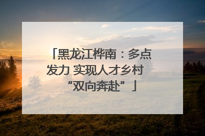 黑龙江桦南：多点发力 实现人才乡村“双向奔赴”
