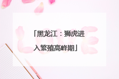黑龙江：狮虎进入繁殖高峰期