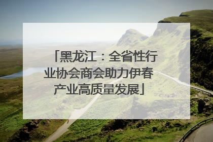 黑龙江：全省性行业协会商会助力伊春产业高质量发展