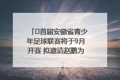 ﻿首届安徽省青少年足球联赛将于9月开赛 拟邀请赵鹏为先导赛开球