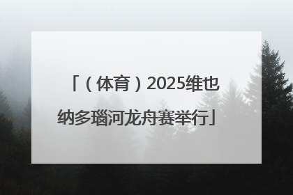 （体育）2025维也纳多瑙河龙舟赛举行