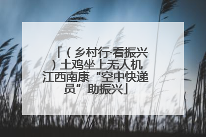 （乡村行·看振兴）土鸡坐上无人机 江西南康“空中快递员”助振兴