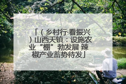 （乡村行·看振兴）山西天镇：设施农业“棚”勃发展 辣椒产业蓄势待发