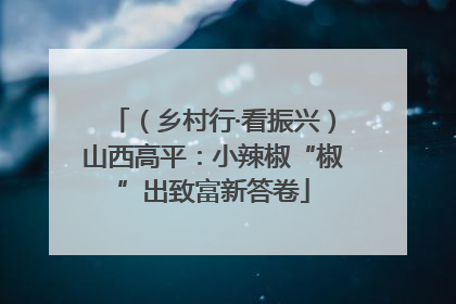 （乡村行·看振兴）山西高平：小辣椒“椒”出致富新答卷