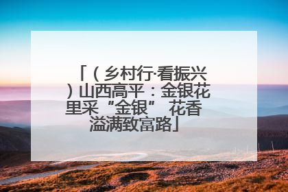 （乡村行·看振兴）山西高平：金银花里采“金银” 花香溢满致富路