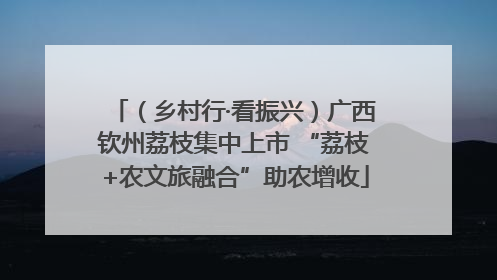 （乡村行·看振兴）广西钦州荔枝集中上市 “荔枝+农文旅融合”助农增收