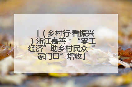 （乡村行·看振兴）浙江嘉善：“零工经济”助乡村民众“家门口”增收