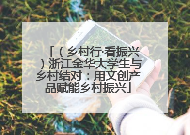 （乡村行·看振兴）浙江金华大学生与乡村结对：用文创产品赋能乡村振兴