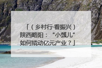 （乡村行·看振兴）陕西略阳：“小瓢儿”如何撬动亿元产业？
