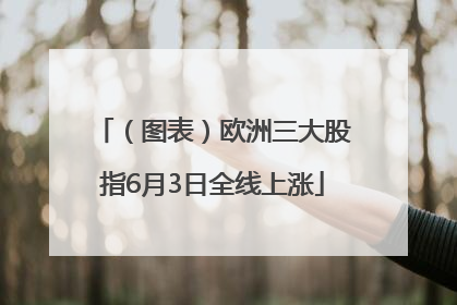 （图表）欧洲三大股指6月3日全线上涨