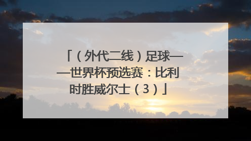 （外代二线）足球——世界杯预选赛：比利时胜威尔士（3）