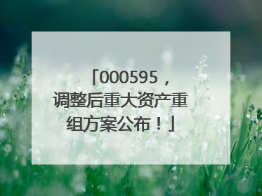 000595，调整后重大资产重组方案公布！