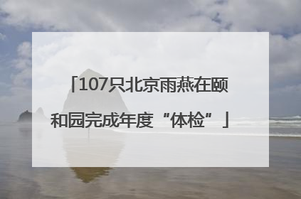 107只北京雨燕在颐和园完成年度“体检”