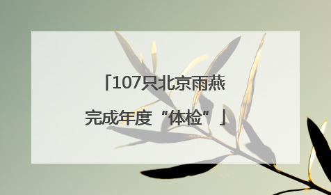 107只北京雨燕完成年度“体检”