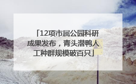 12项市属公园科研成果发布，青头潜鸭人工种群规模破百只
