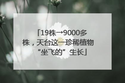 19株→9000多株，天台这一珍稀植物“坐飞的”生长