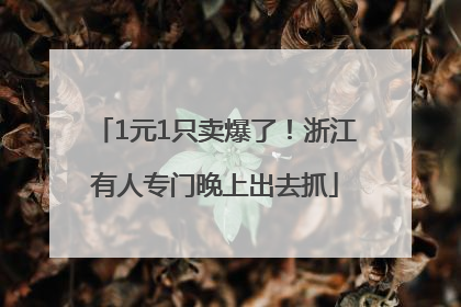 1元1只卖爆了！浙江有人专门晚上出去抓