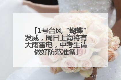 1号台风“蝴蝶”发威，周日上海将有大雨雷电，中考生请做好防范准备