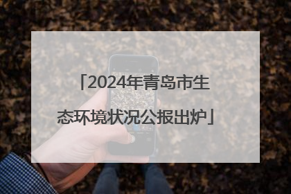 2024年青岛市生态环境状况公报出炉