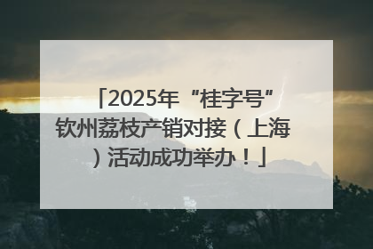 2025年“桂字号”钦州荔枝产销对接（上海）活动成功举办！
