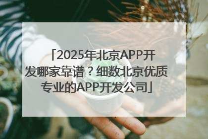 2025年北京APP开发哪家靠谱？细数北京优质专业的APP开发公司