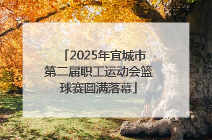 2025年宜城市第二届职工运动会篮球赛圆满落幕