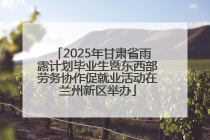 2025年甘肃省雨露计划毕业生暨东西部劳务协作促就业活动在兰州新区举办