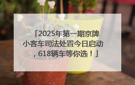 2025年第一期京牌小客车司法处置今日启动，618辆车等你选！