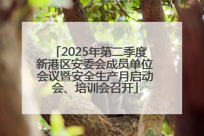 2025年第二季度新港区安委会成员单位会议暨安全生产月启动会、培训会召开