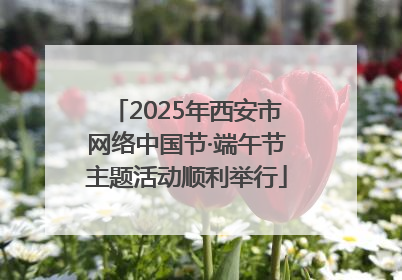 2025年西安市网络中国节·端午节主题活动顺利举行