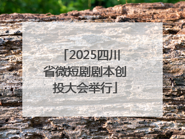 2025四川省微短剧剧本创投大会举行