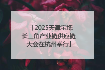2025天津宝坻长三角产业链供应链大会在杭州举行