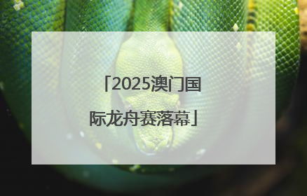 2025澳门国际龙舟赛落幕
